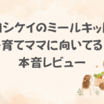 ヨシケイミールキットレビュー